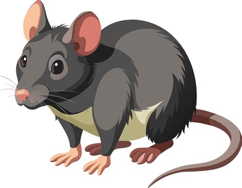 Download RAT Vector Art .